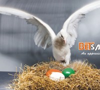 BETSALIC