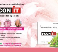FCON-IT